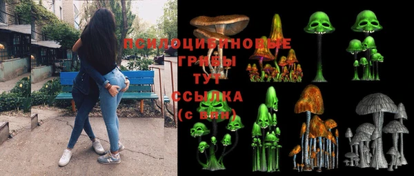 первитин Армянск