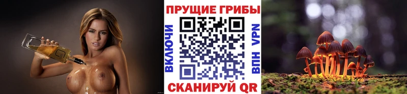 ОМГ ОМГ зеркало  Электросталь  Псилоцибиновые грибы мицелий 